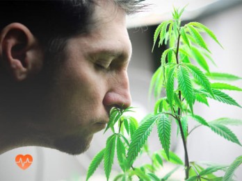 Детоксикация от марихуаны в Черемхово